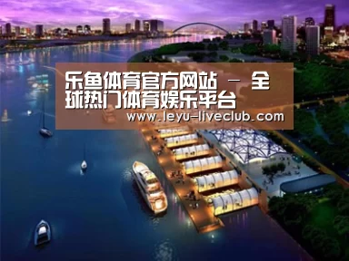 案例展示八