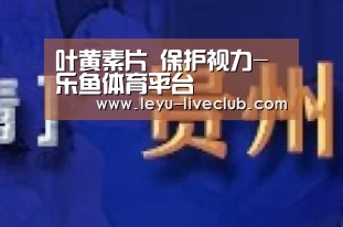 叶黄素片 保护视力-乐鱼体育平台(图1) 乐鱼电竞APP
