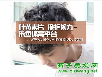 叶黄素片 保护视力-乐鱼体育平台(图2) 乐鱼体育赛事直播