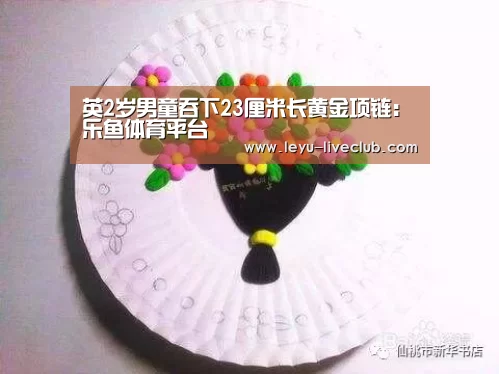 英2岁男童吞下23厘米长黄金项链:乐鱼体育平台(图1) 乐鱼体育平台