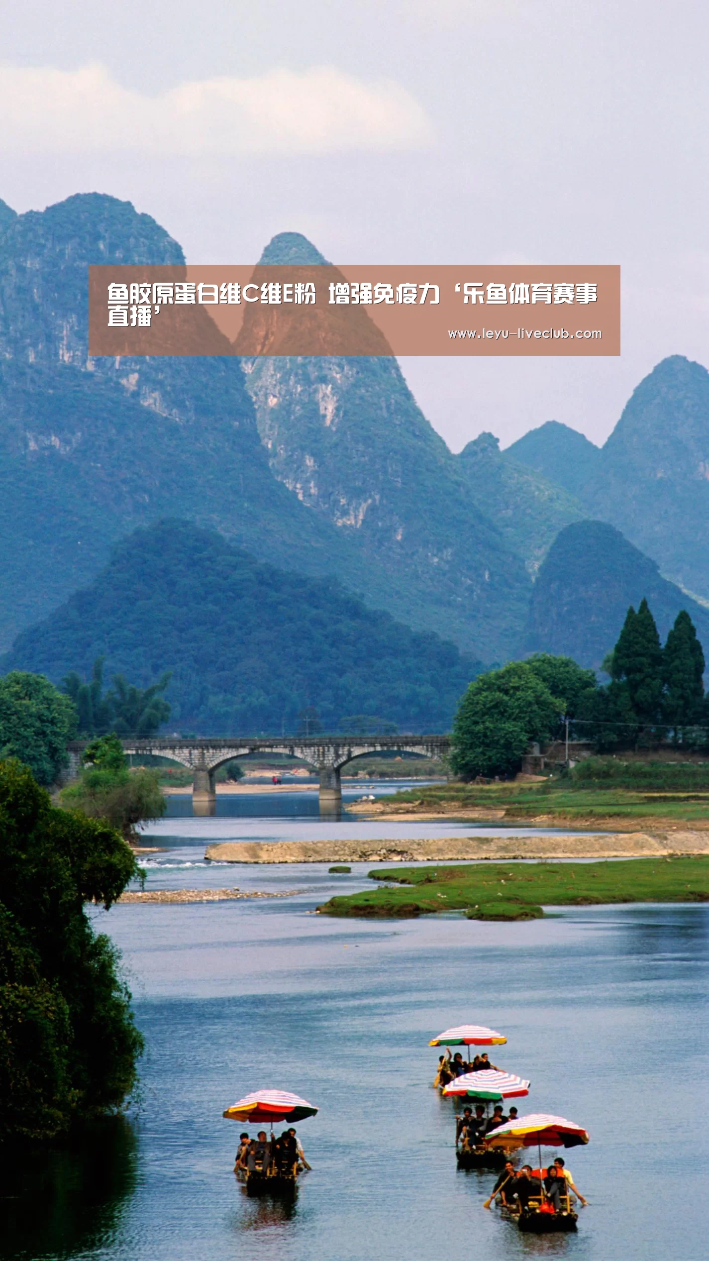 鱼胶原蛋白维C维E粉 增强免疫力‘乐鱼体育赛事直播’(图2) 乐鱼体育