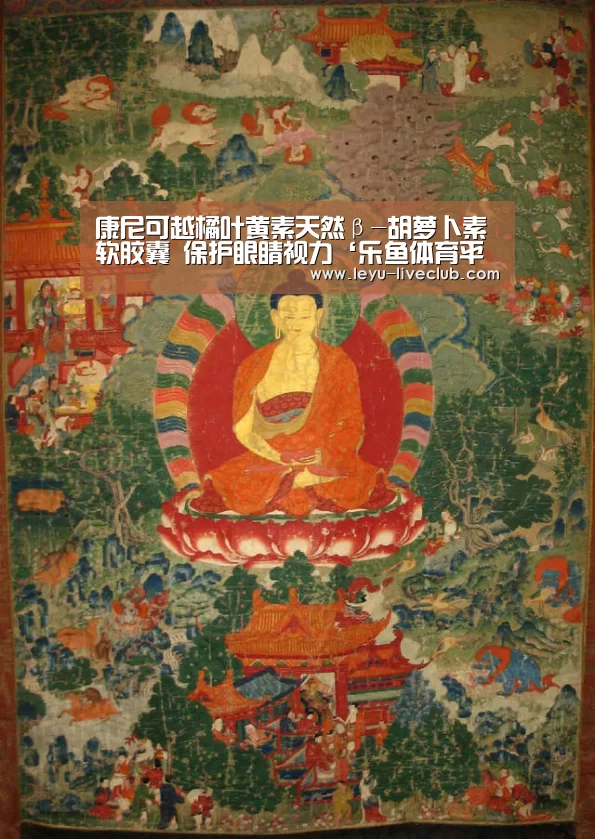 康尼可越橘叶黄素天然β-胡萝卜素软胶囊 保护眼睛视力‘乐鱼体育平台’(图2) 乐鱼体育平台